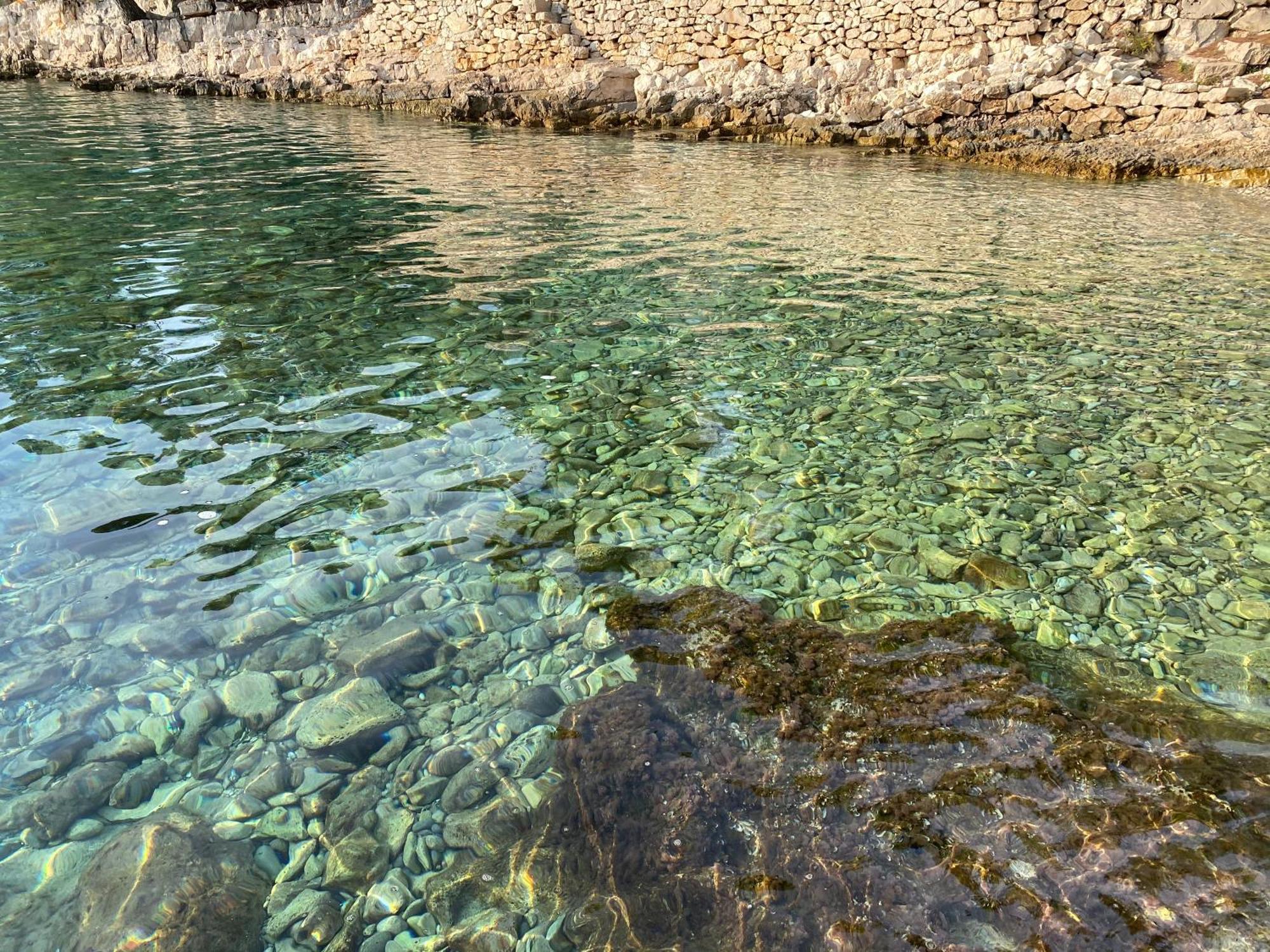 Villa Terra Nostra Hvar Hvar Town Exteriör bild
