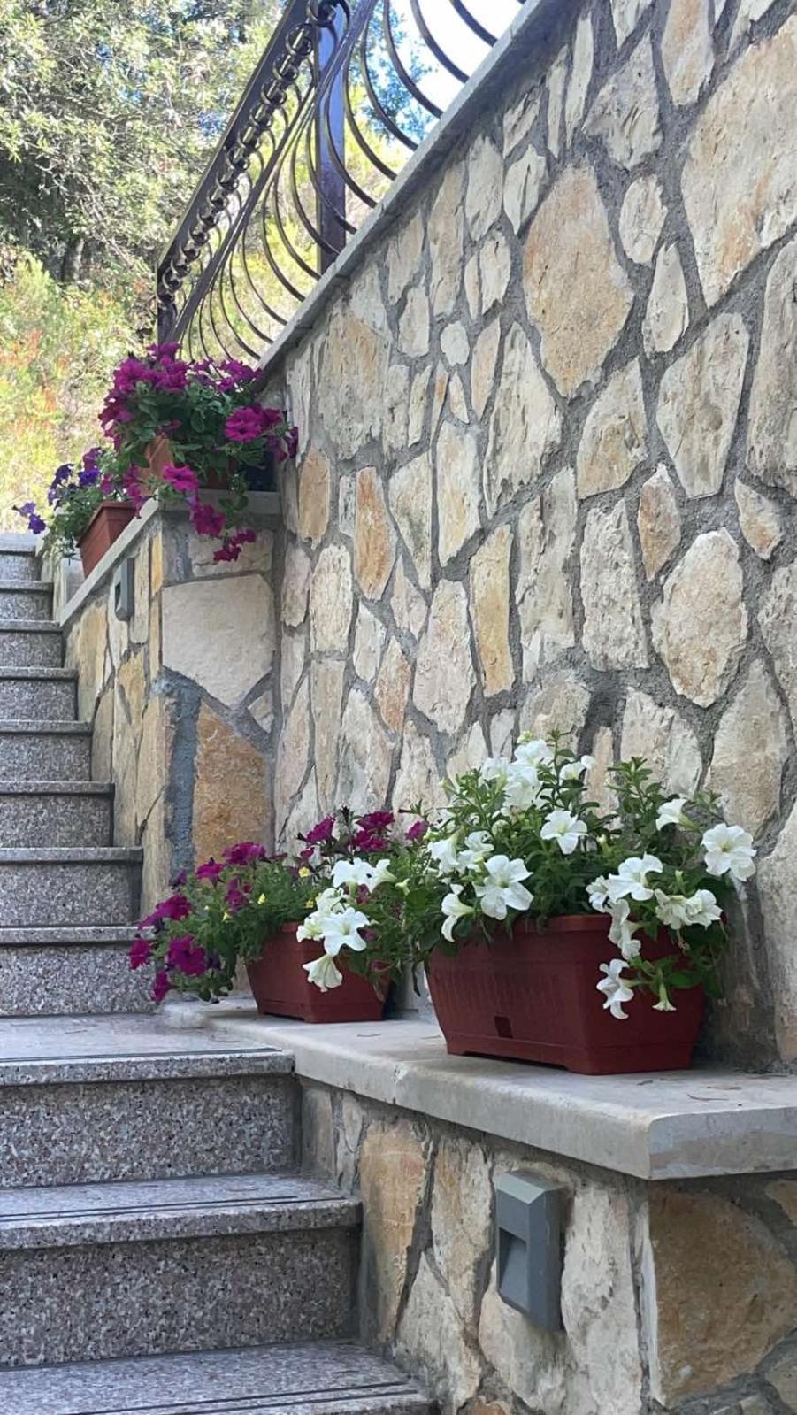 Villa Terra Nostra Hvar Hvar Town Exteriör bild
