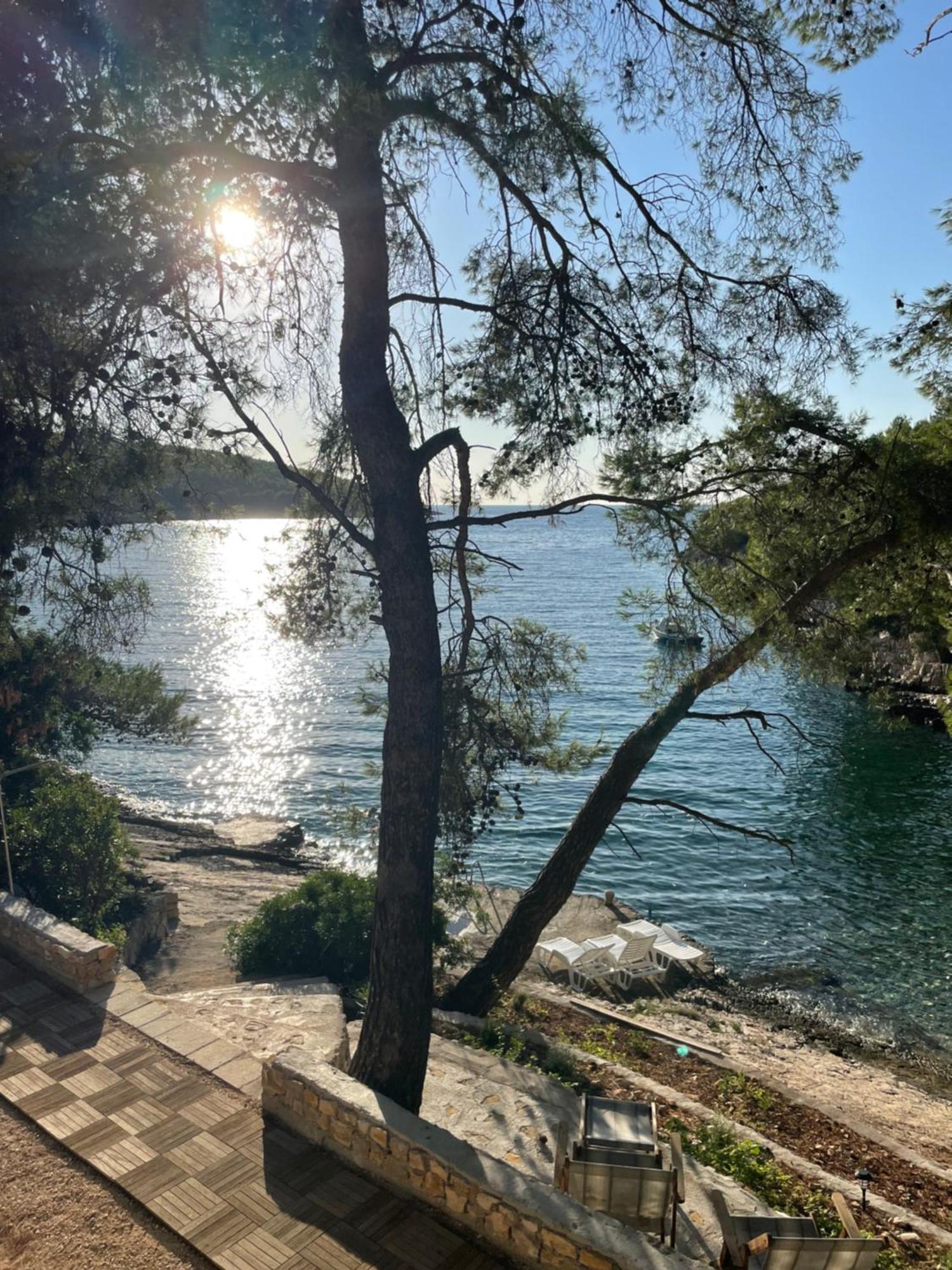 Villa Terra Nostra Hvar Hvar Town Exteriör bild