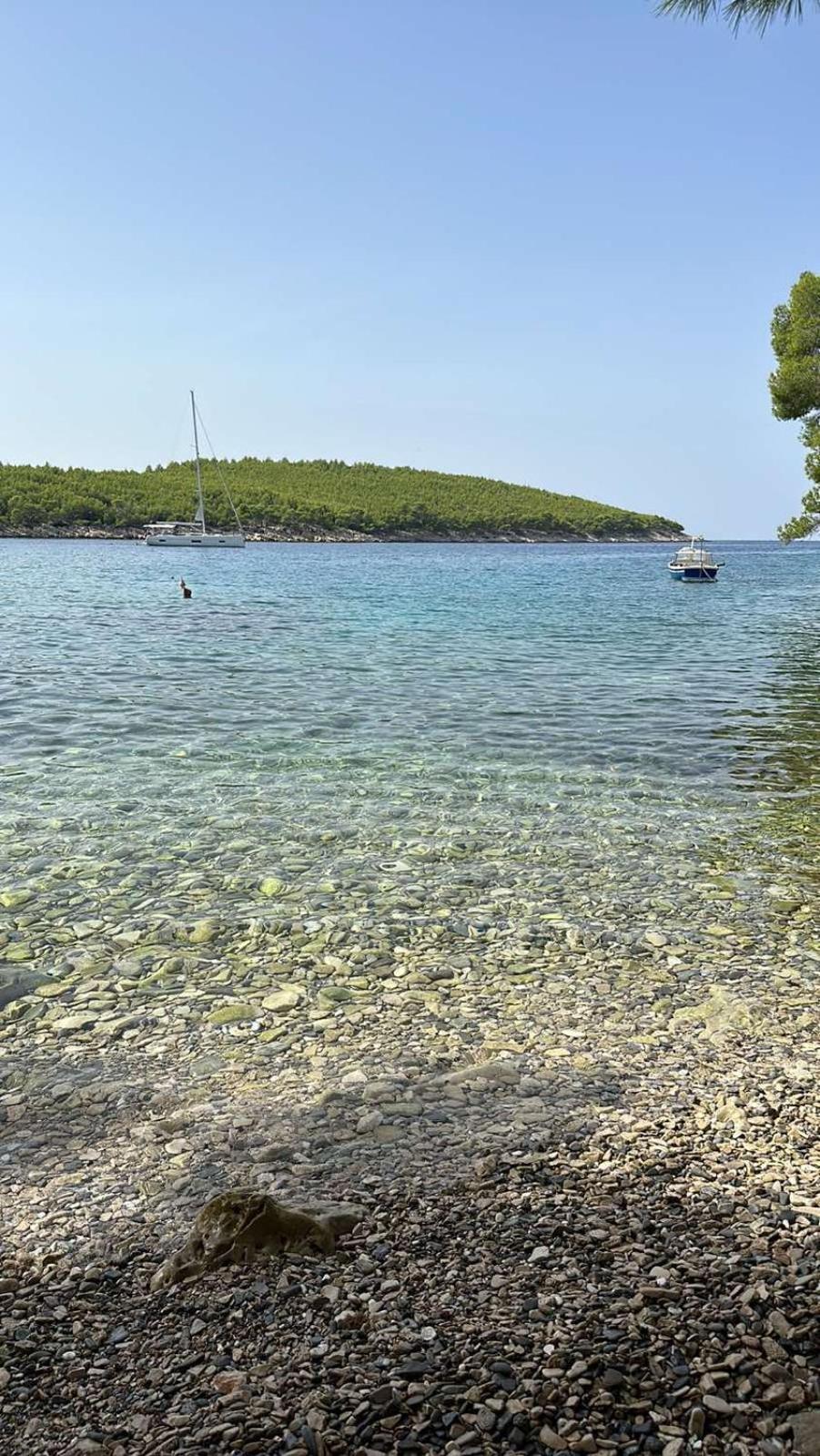 Villa Terra Nostra Hvar Hvar Town Exteriör bild