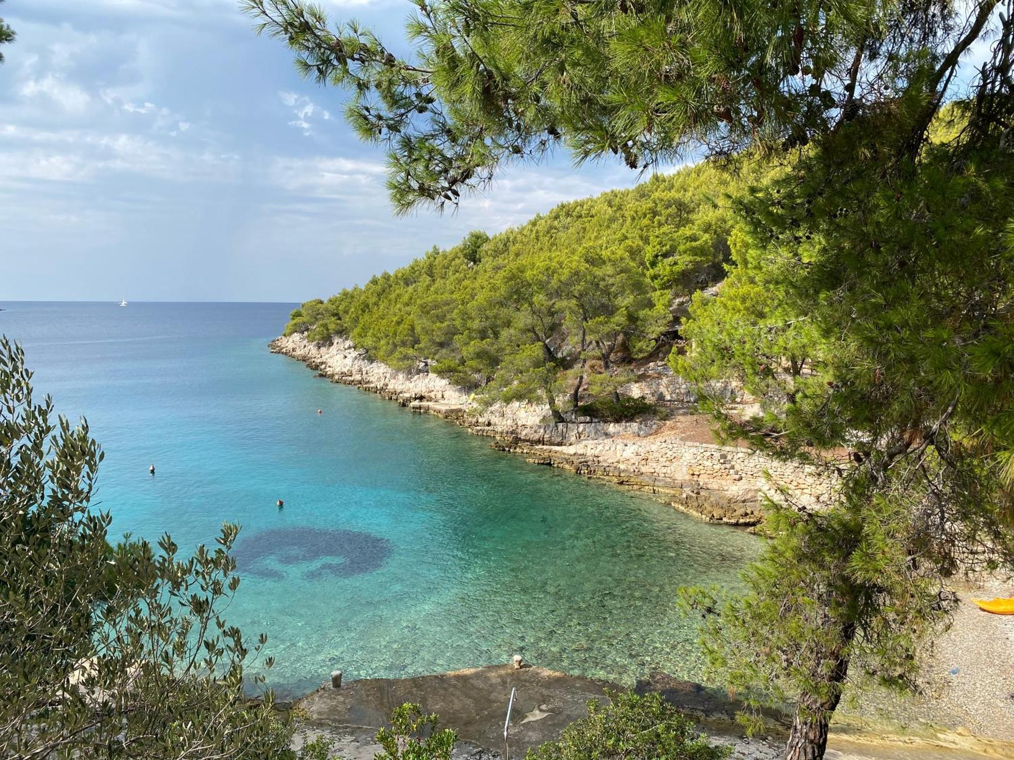 Villa Terra Nostra Hvar Hvar Town Exteriör bild